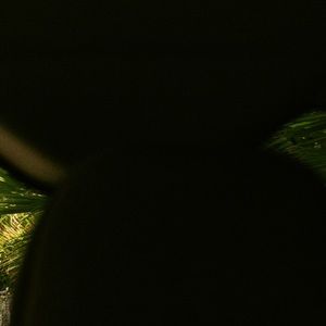 Meet your Posher, Lance